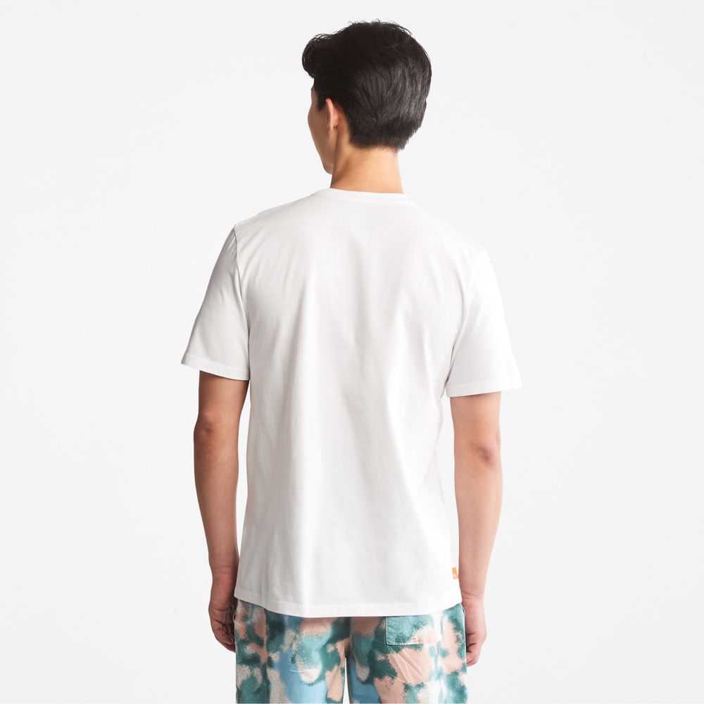 Timberland Summer Bianche | SN-TBL46145