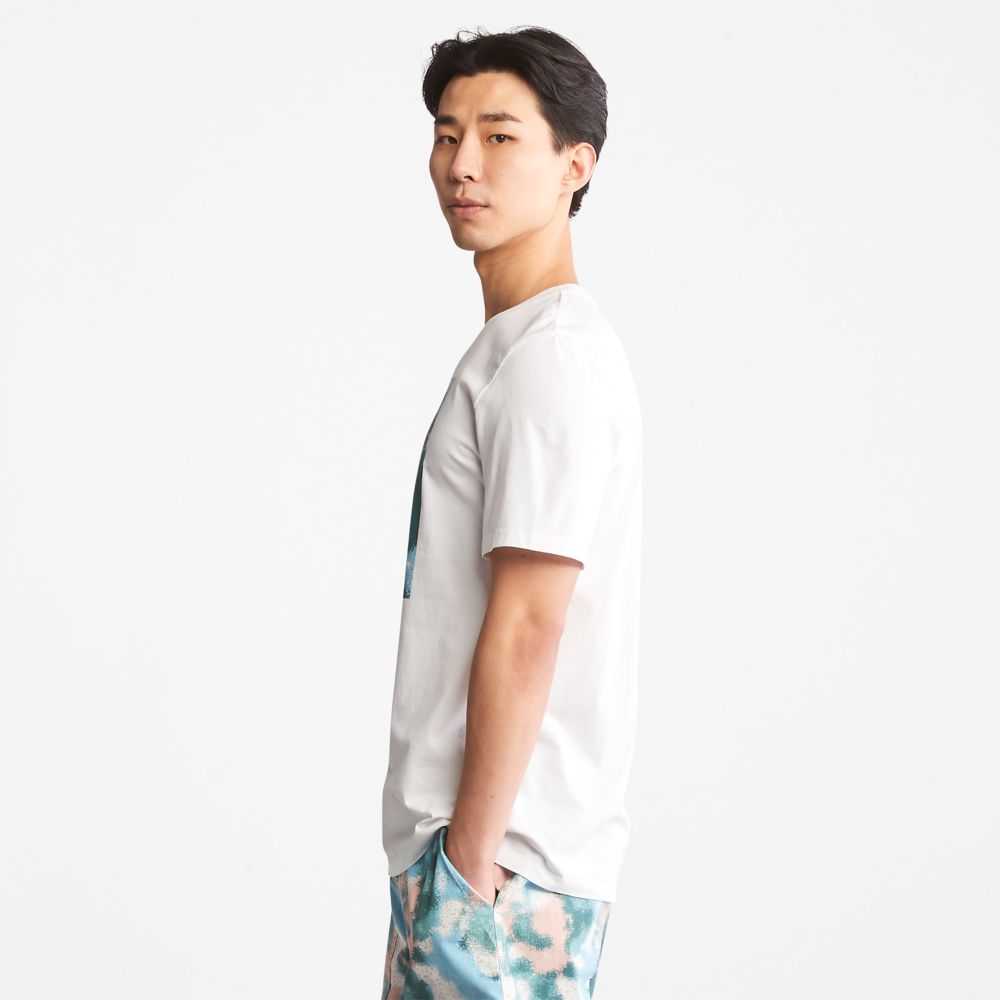 Timberland Summer Bianche | SN-TBL46145
