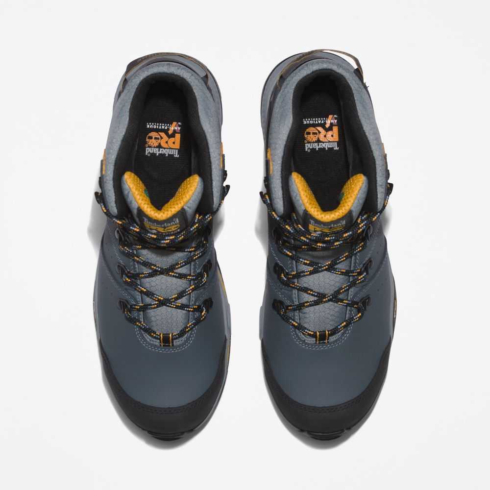 Timberland Switchback Grigie Gialle | SN-TBL45667