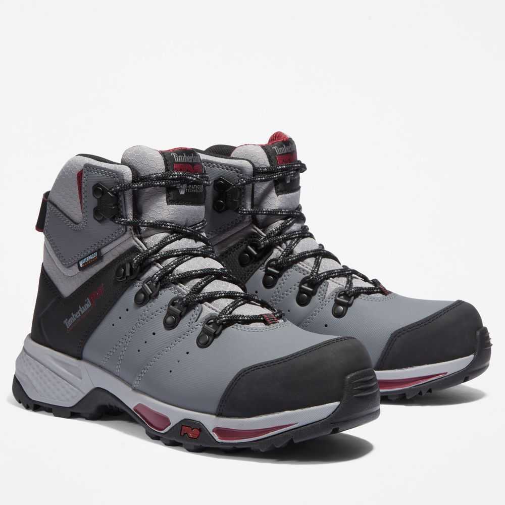 Timberland Switchback Grigie Viola | SN-TBL46337
