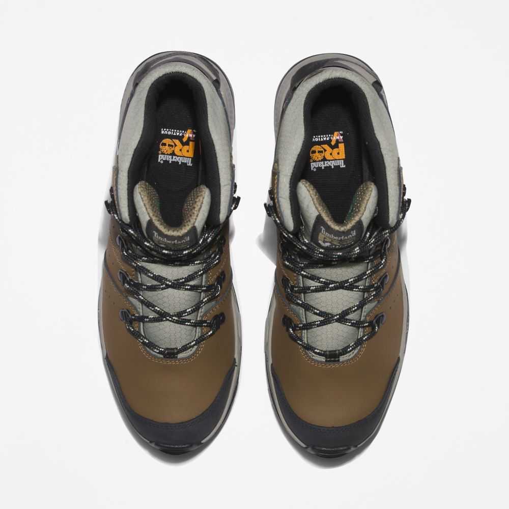 Timberland Switchback Marroni Verdi | SN-TBL45716