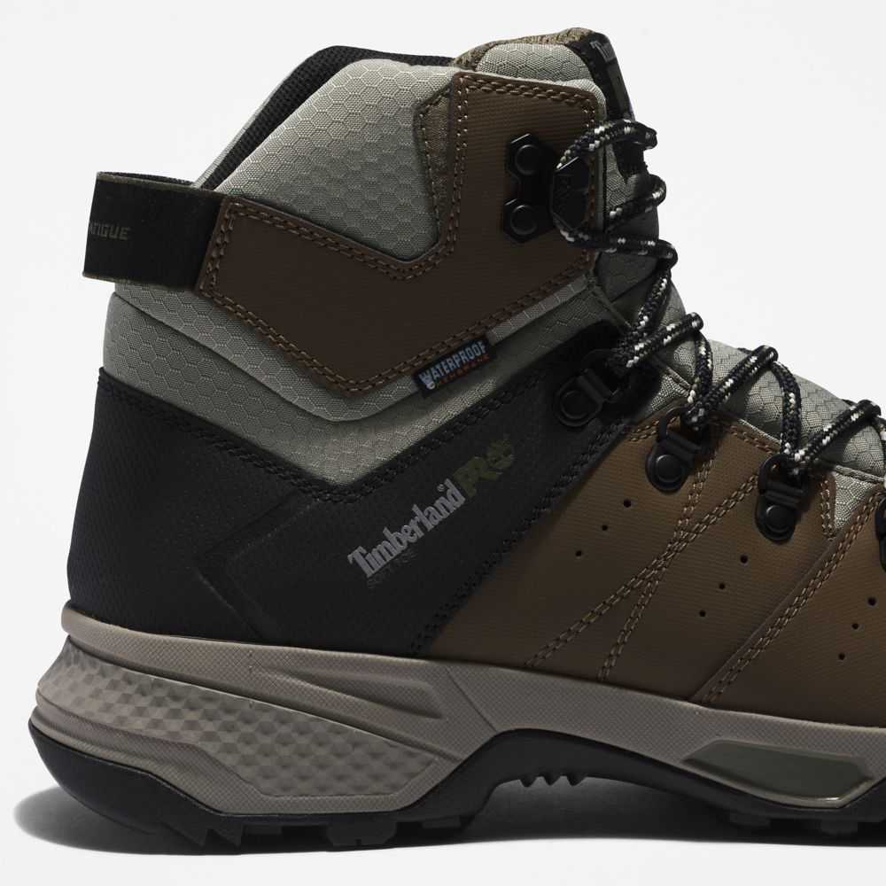 Timberland Switchback Marroni Verdi | SN-TBL45716