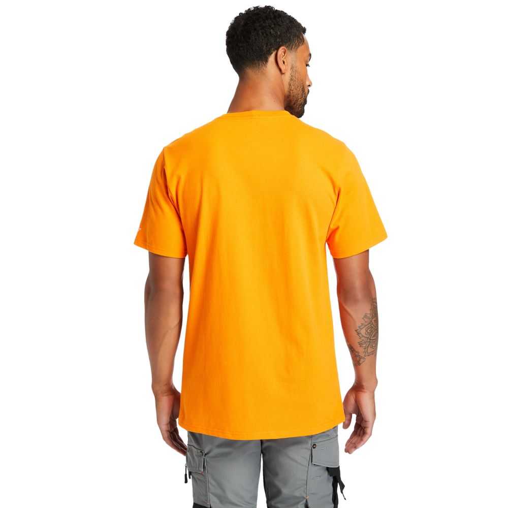 Timberland Timberland Pro® Arancioni | SN-TBL45962