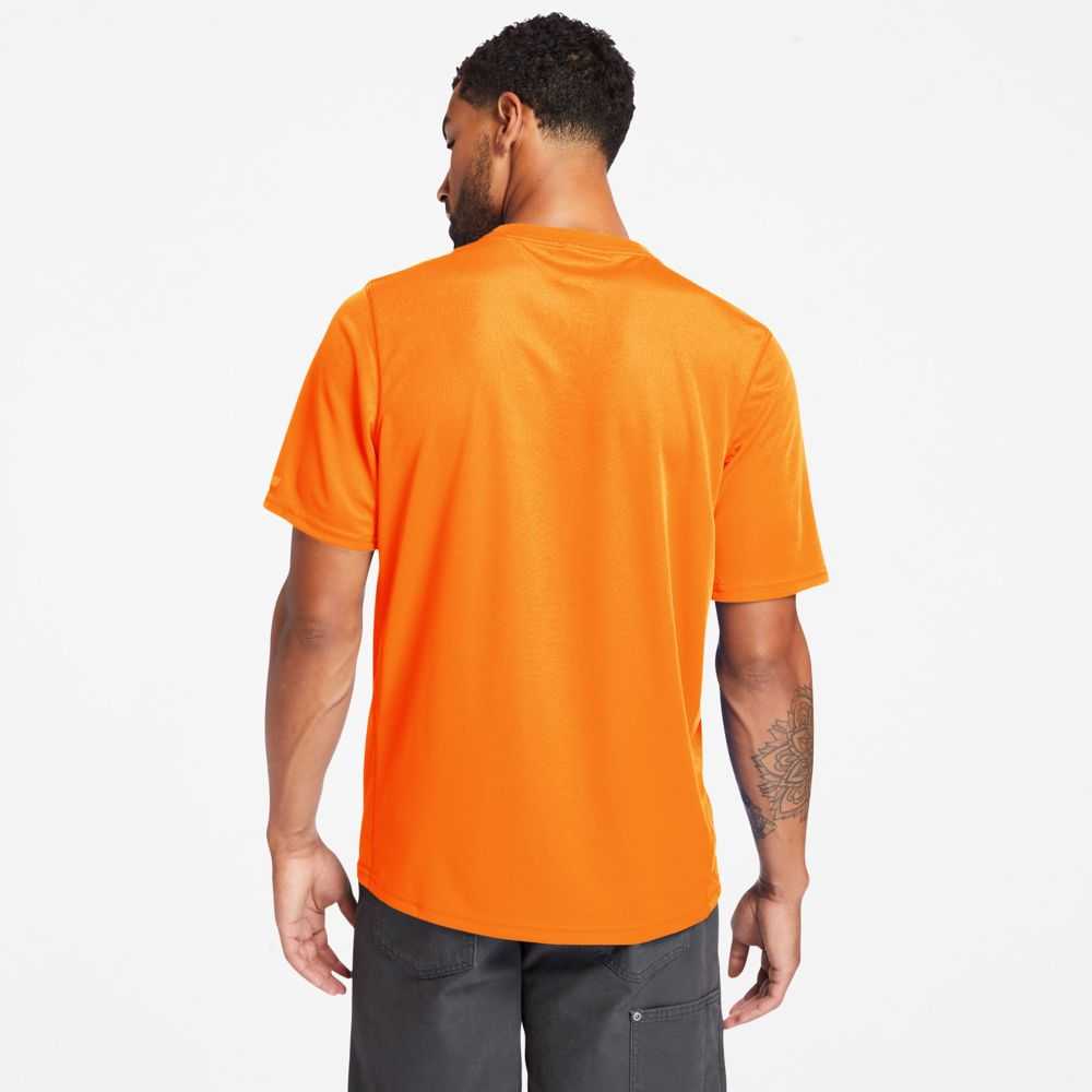 Timberland Timberland Pro® Arancioni | SN-TBL45998