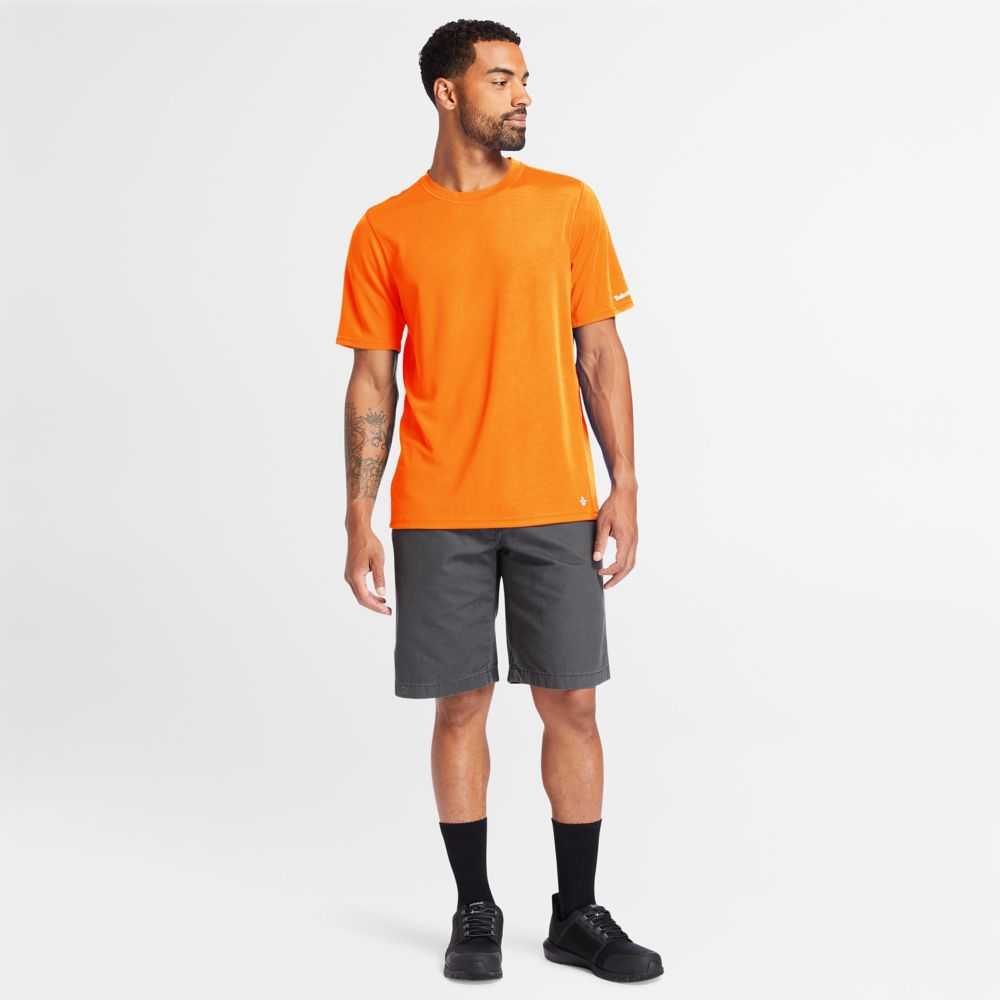 Timberland Timberland Pro® Arancioni | SN-TBL45998