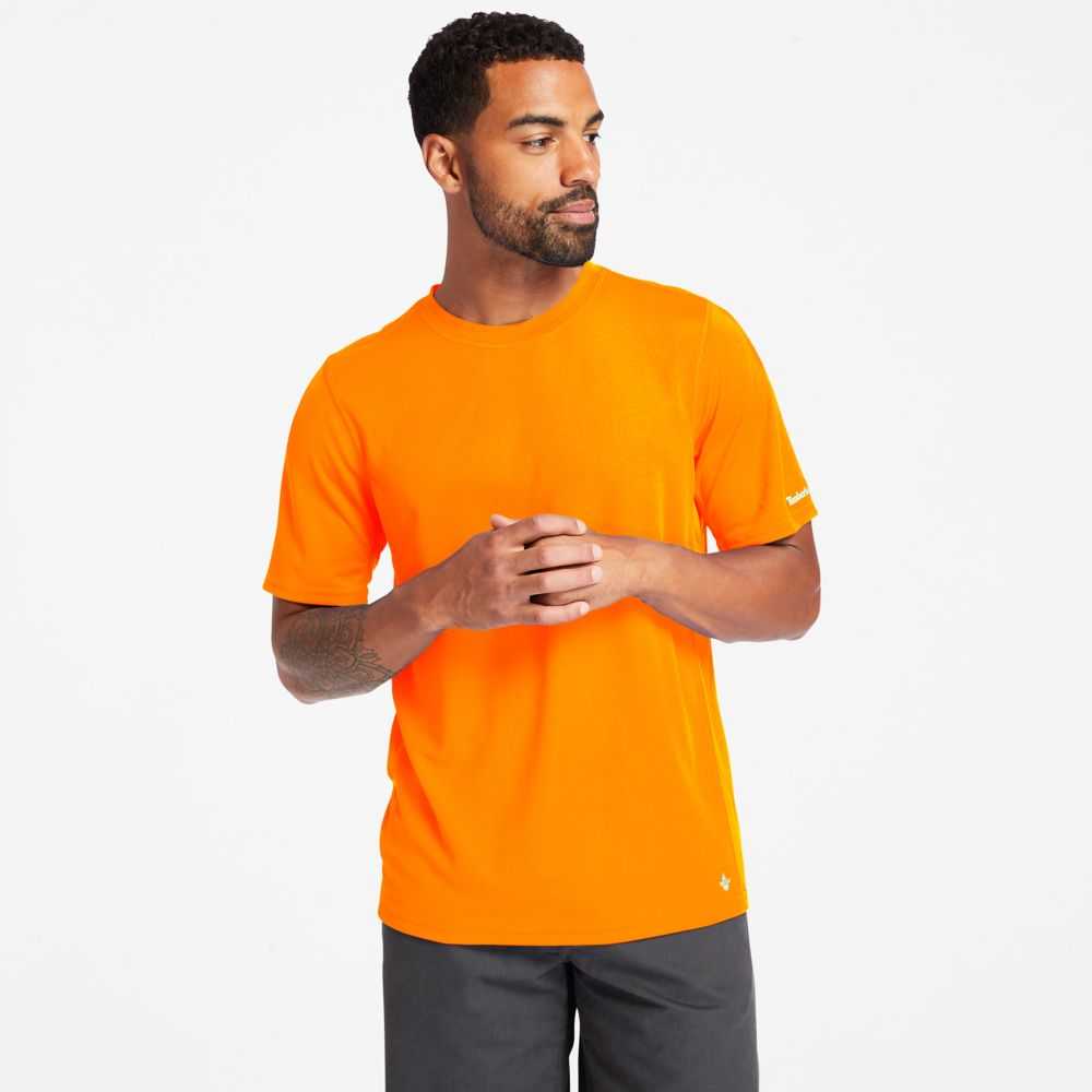Timberland Timberland Pro® Arancioni | SN-TBL45998