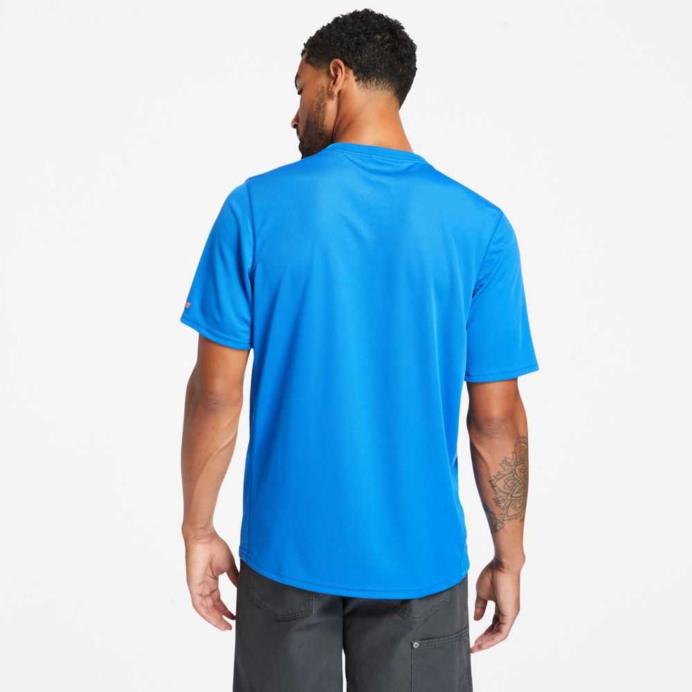 Timberland Timberland Pro® Blu Reale | SN-TBL45999