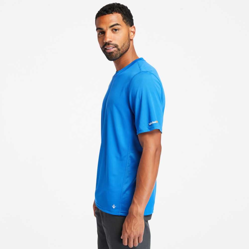 Timberland Timberland Pro® Blu Reale | SN-TBL45999