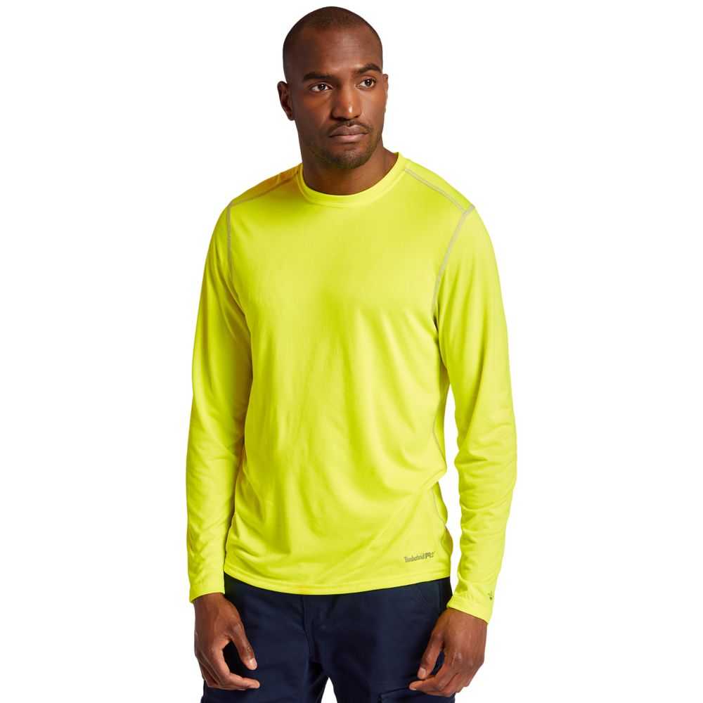 Timberland Timberland Pro® Gialle | SN-TBL45988