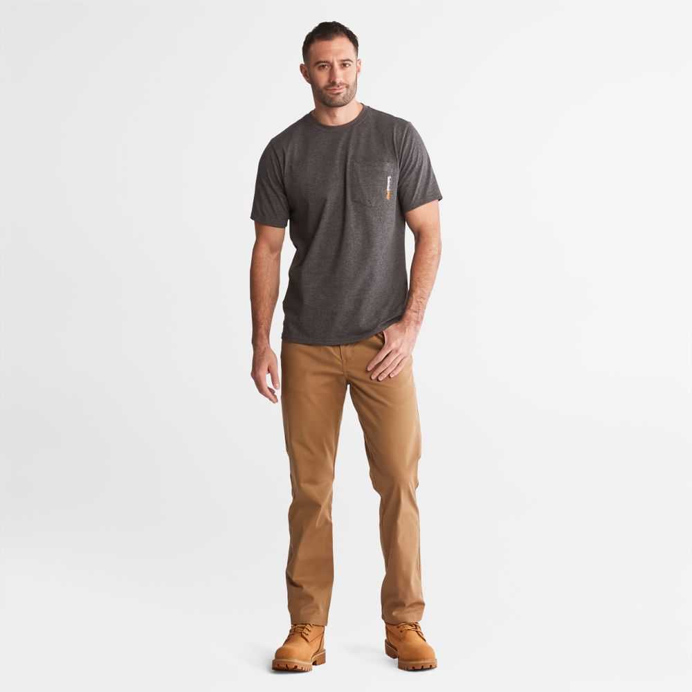 Timberland Timberland Pro® Grigie Scuro | SN-TBL45958