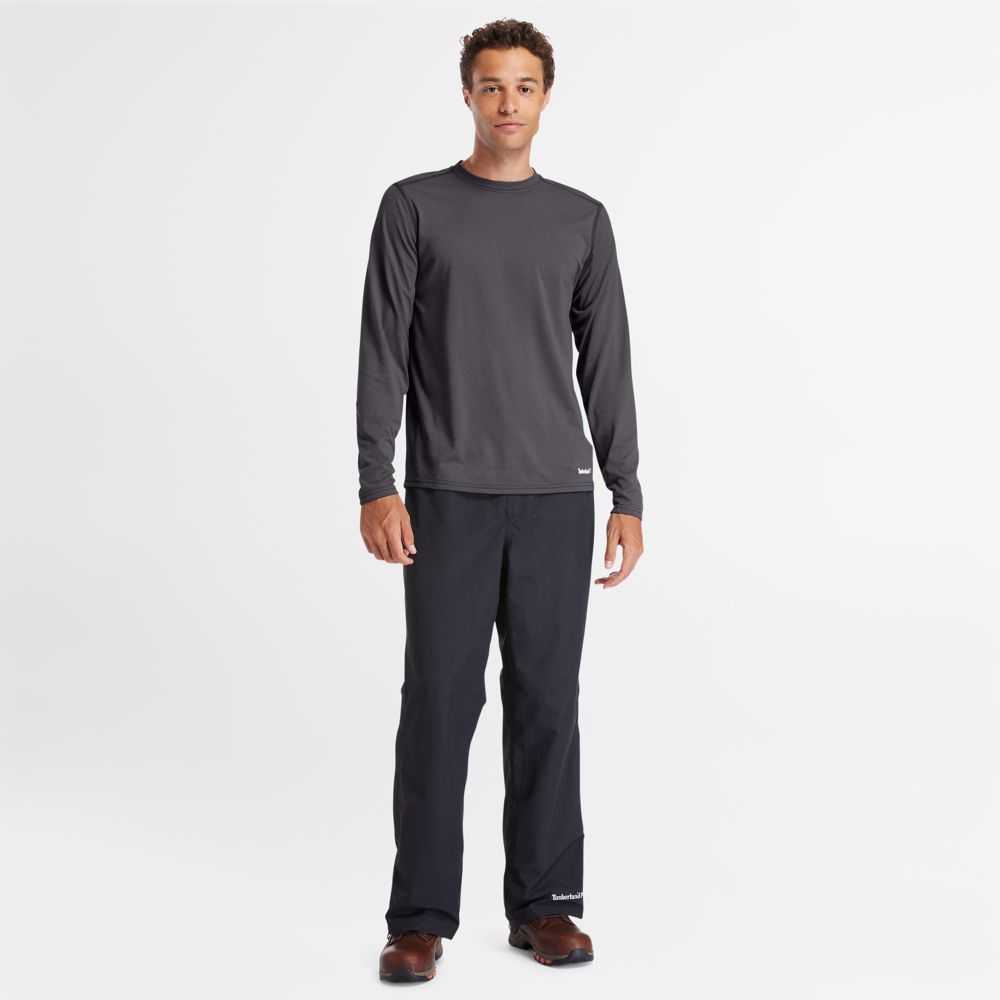 Timberland Timberland Pro® Grigie Scuro | SN-TBL45986