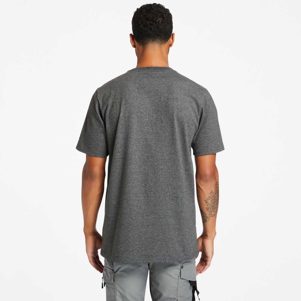 Timberland Timberland Pro® Grigie Scuro | SN-TBL46015