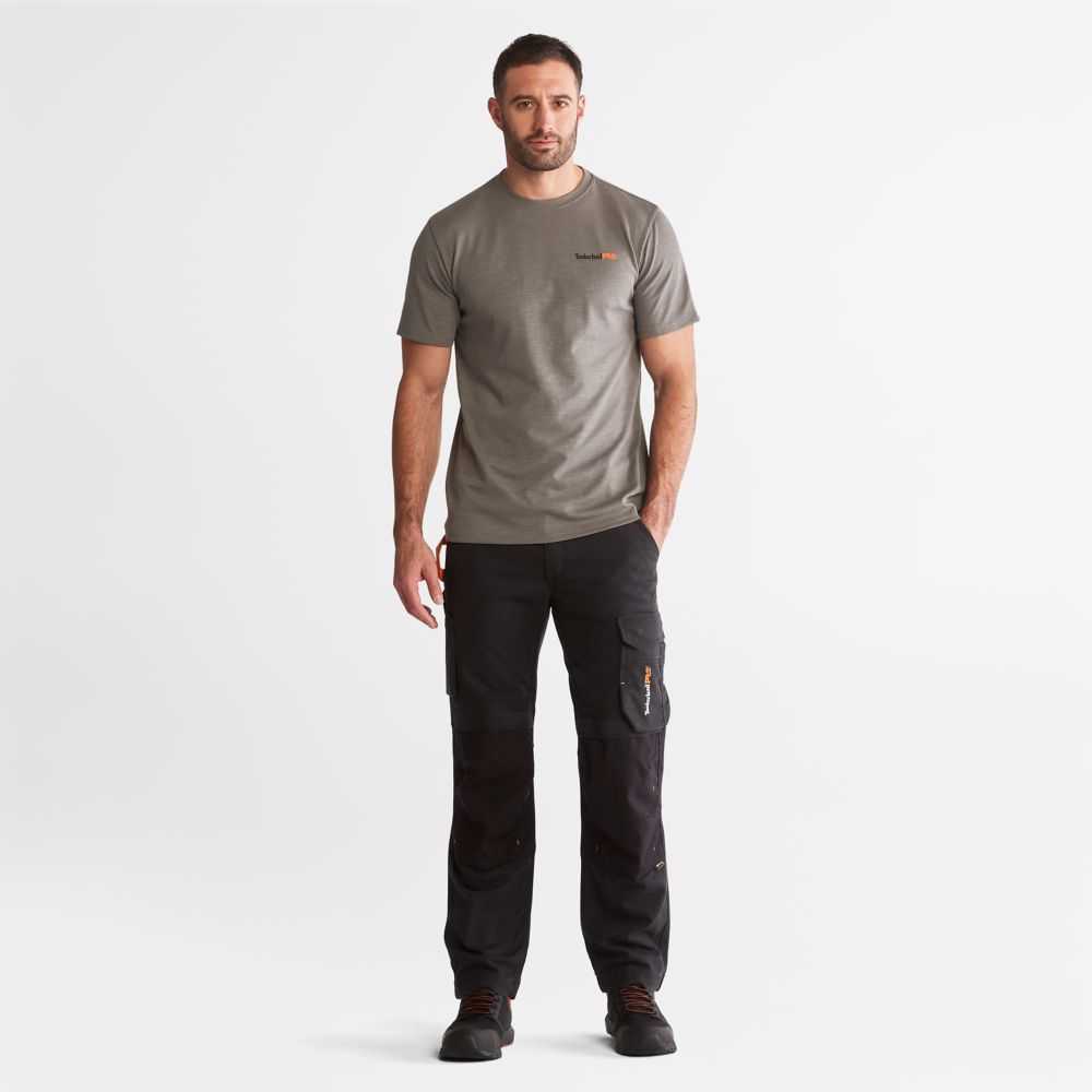 Timberland Timberland Pro® Grigie | SN-TBL46014