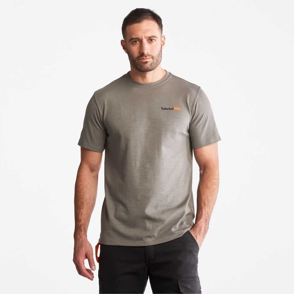 Timberland Timberland Pro® Grigie | SN-TBL46014