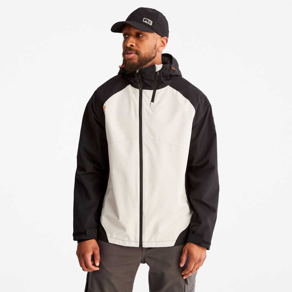 Timberland Timberland Pro® Grigie | SN-TBL46075
