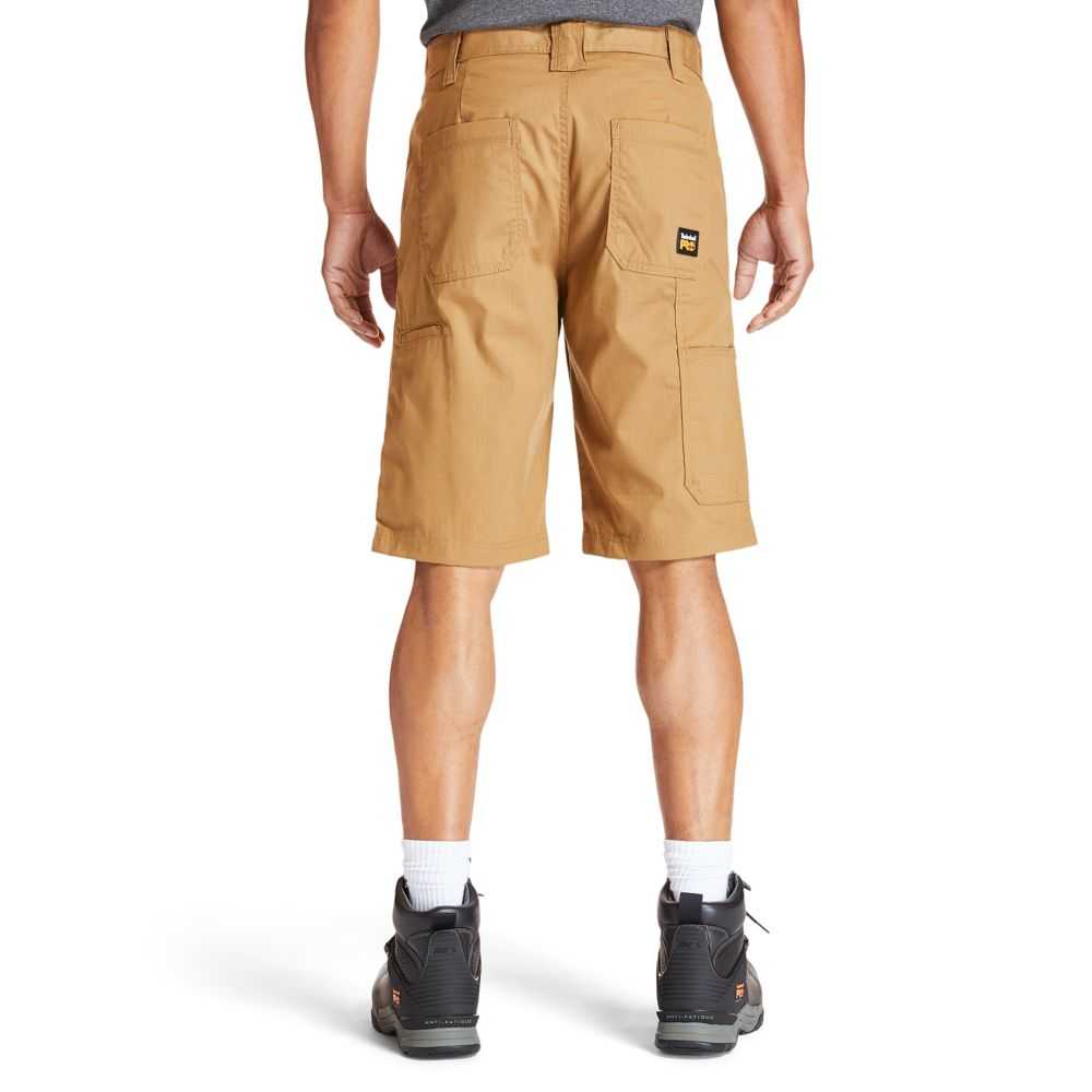 Timberland Timberland Pro® Marroni Scuro | SN-TBL45951