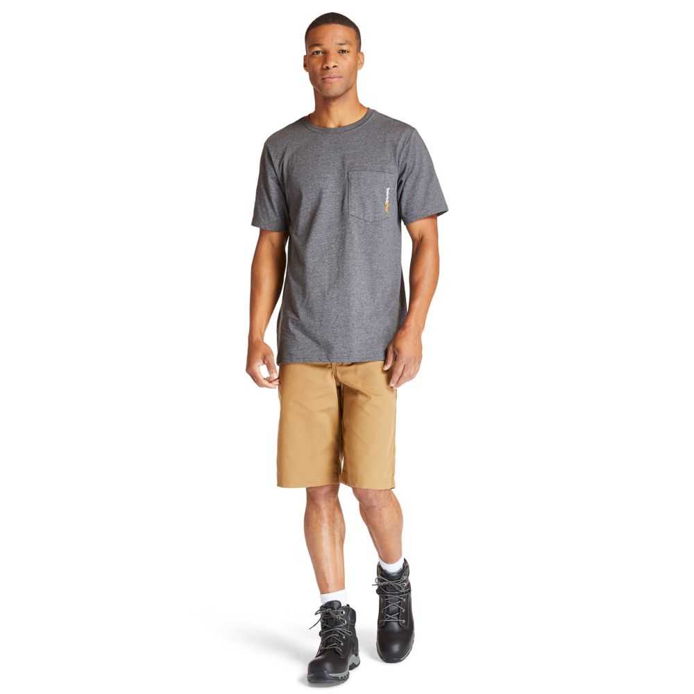 Timberland Timberland Pro® Marroni Scuro | SN-TBL45951