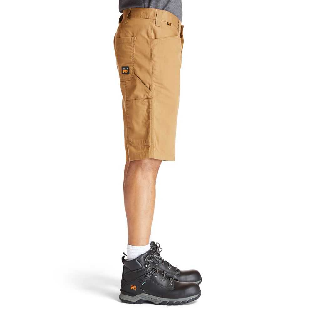 Timberland Timberland Pro® Marroni Scuro | SN-TBL45951