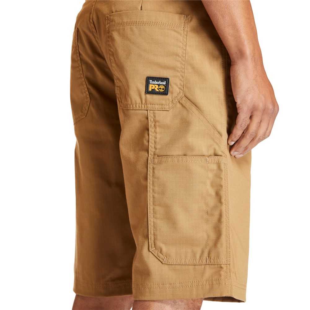 Timberland Timberland Pro® Marroni Scuro | SN-TBL45951