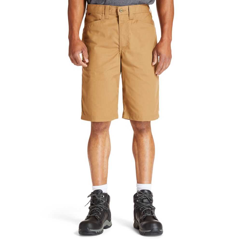 Timberland Timberland Pro® Marroni Scuro | SN-TBL45951