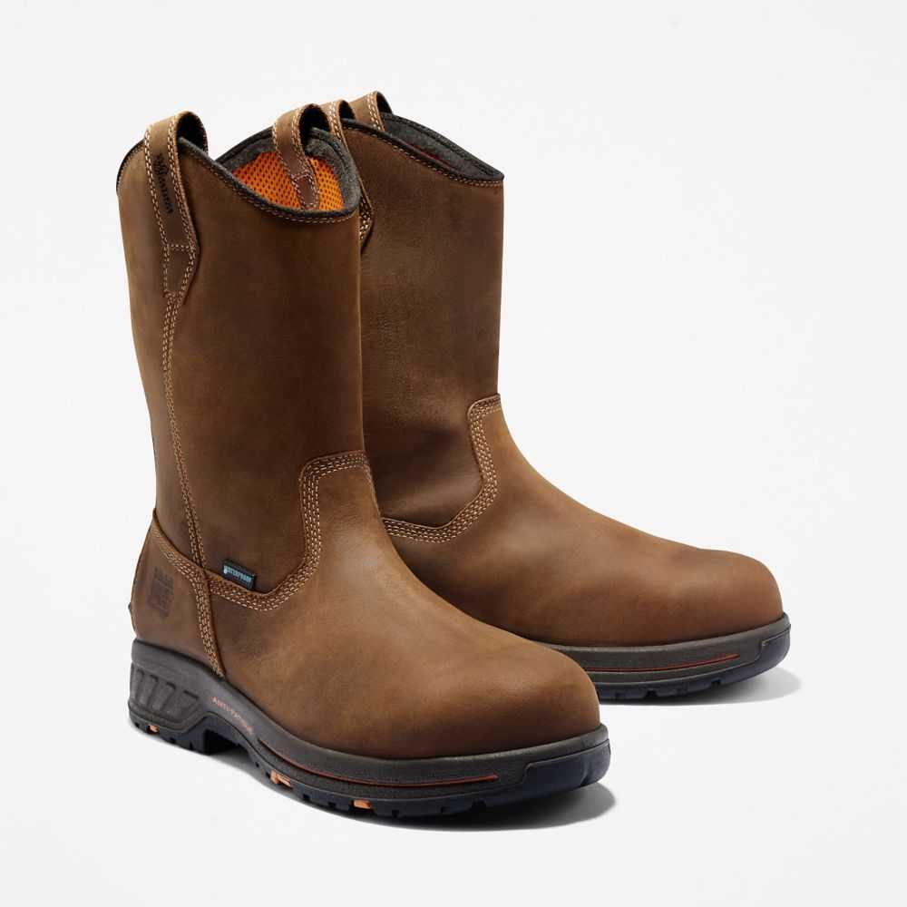 Timberland Timberland Pro® Marroni | SN-TBL45723