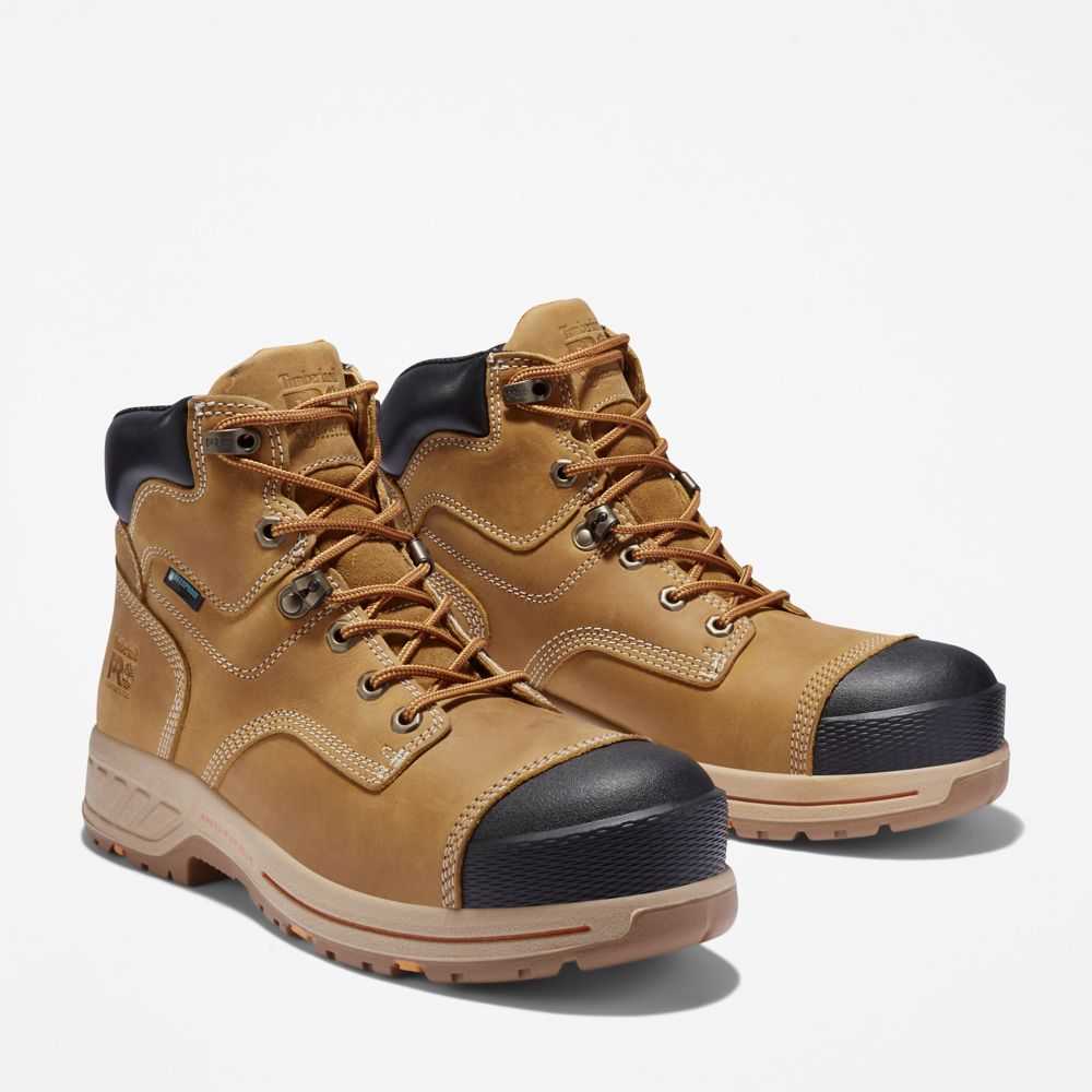 Timberland Timberland Pro® Marroni | SN-TBL45742