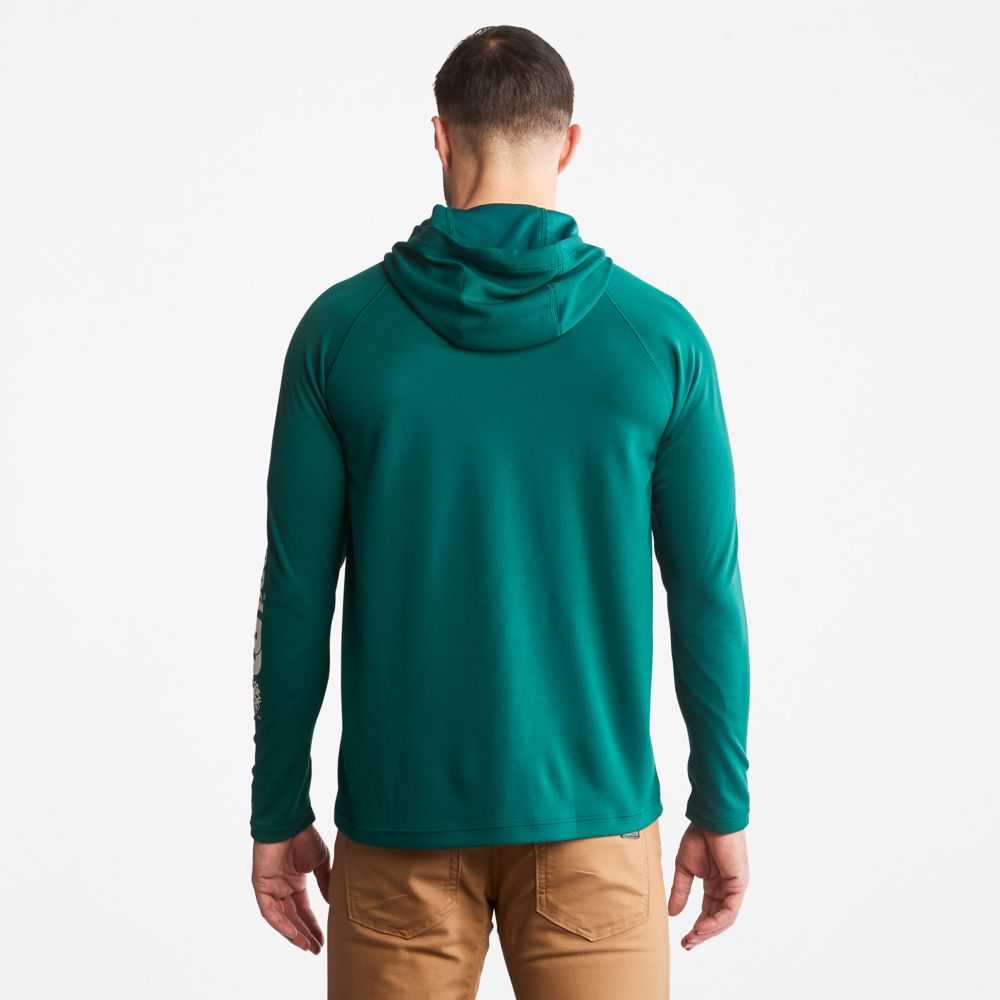 Timberland Timberland Pro® Marroni | SN-TBL45975