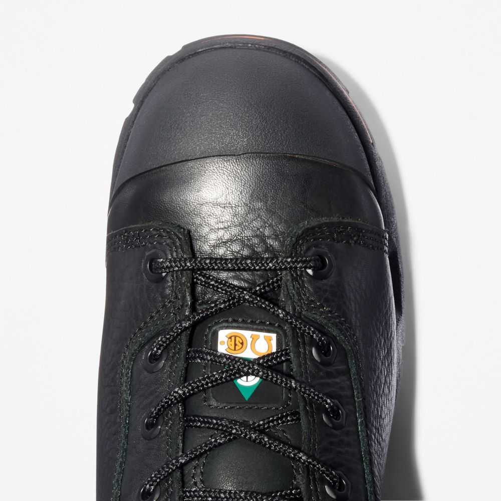 Timberland Timberland Pro® Nere | SN-TBL45740