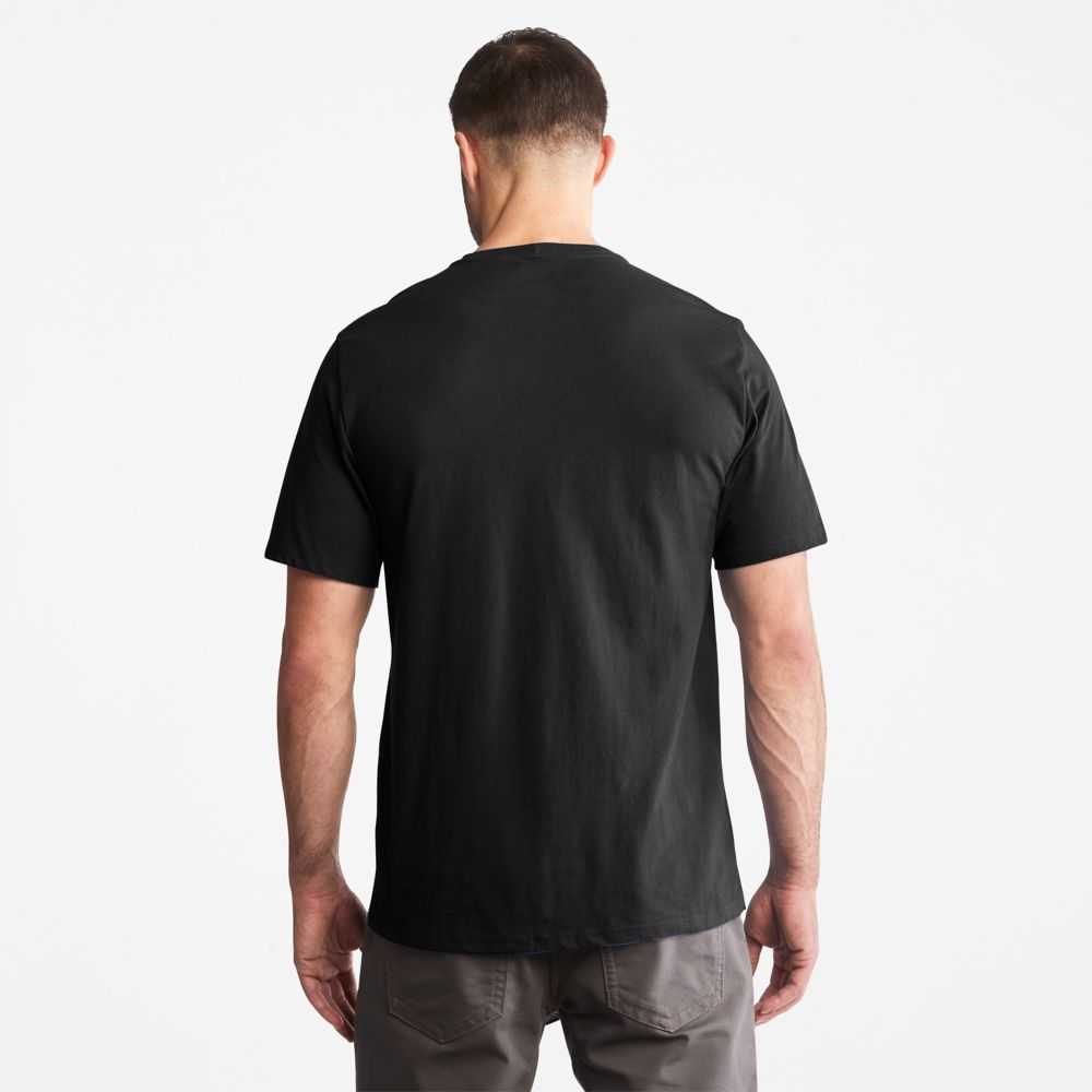 Timberland Timberland Pro® Nere | SN-TBL45955