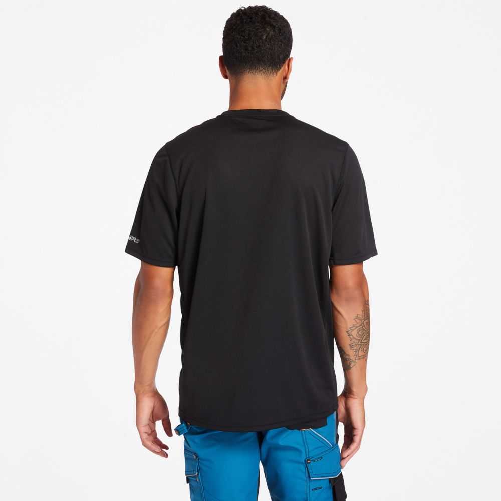 Timberland Timberland Pro® Nere | SN-TBL45996