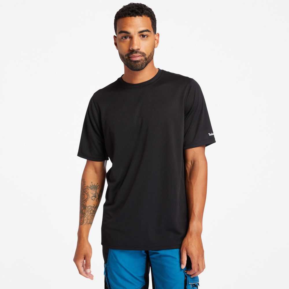 Timberland Timberland Pro® Nere | SN-TBL45996