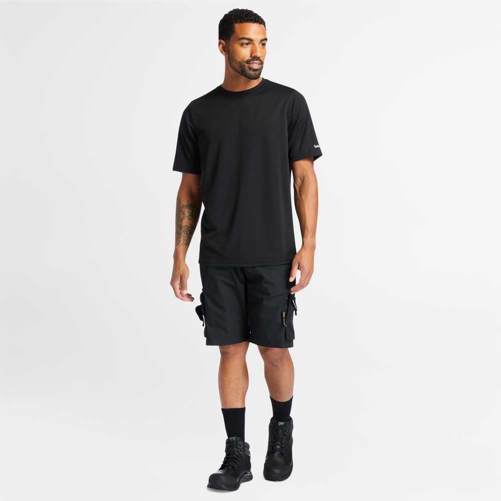 Timberland Timberland Pro® Nere | SN-TBL46000