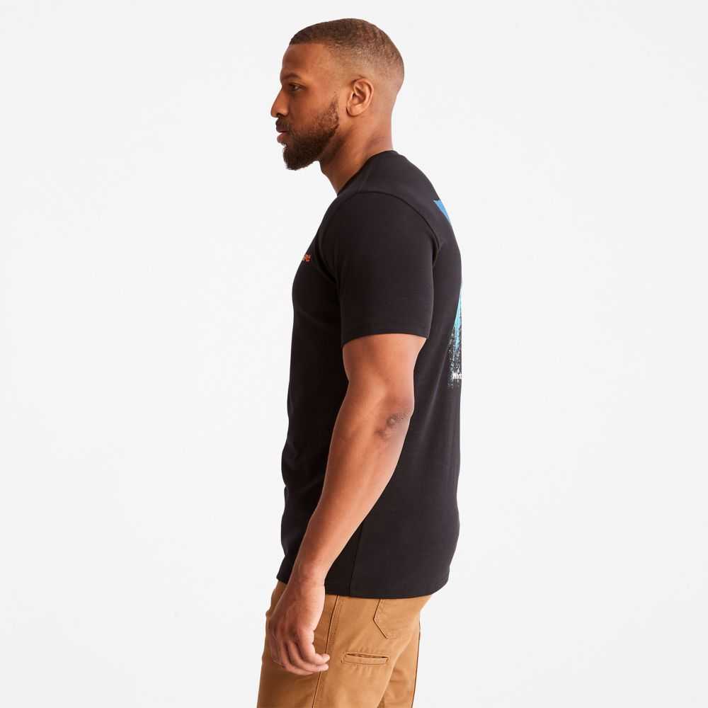Timberland Timberland Pro® Nere | SN-TBL46002