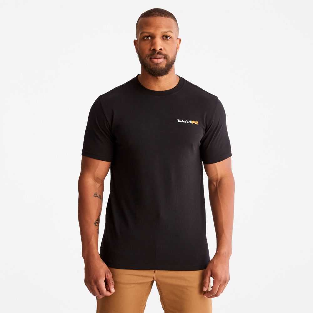Timberland Timberland Pro® Nere | SN-TBL46002