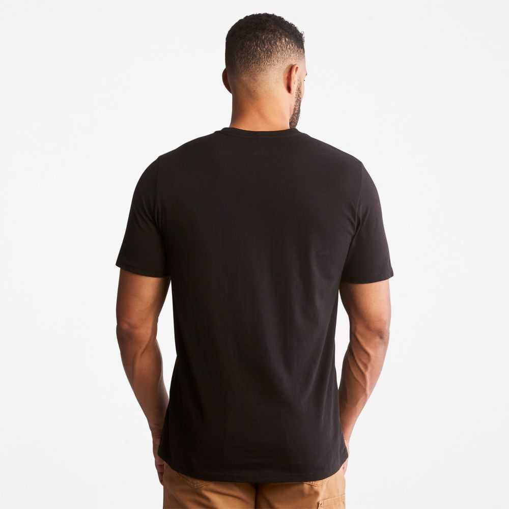 Timberland Timberland Pro® Nere | SN-TBL46016