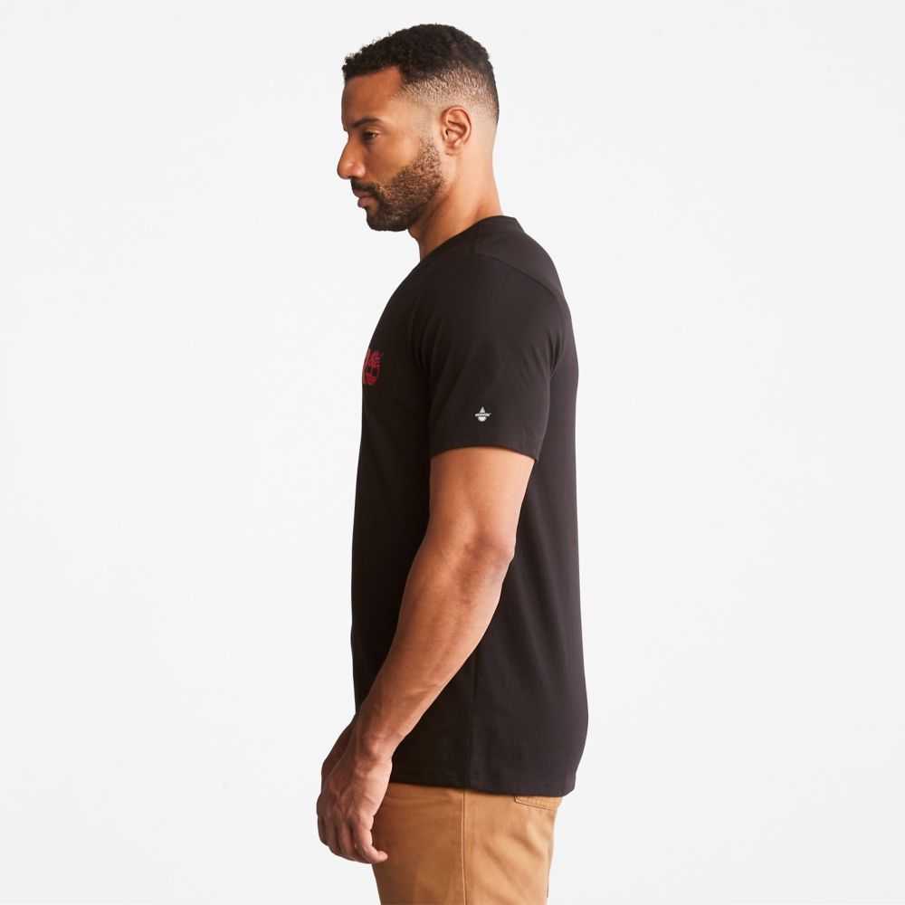 Timberland Timberland Pro® Nere | SN-TBL46016