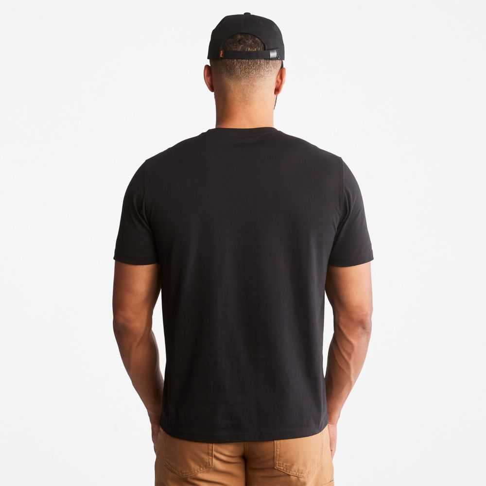 Timberland Timberland Pro® Nere | SN-TBL46038
