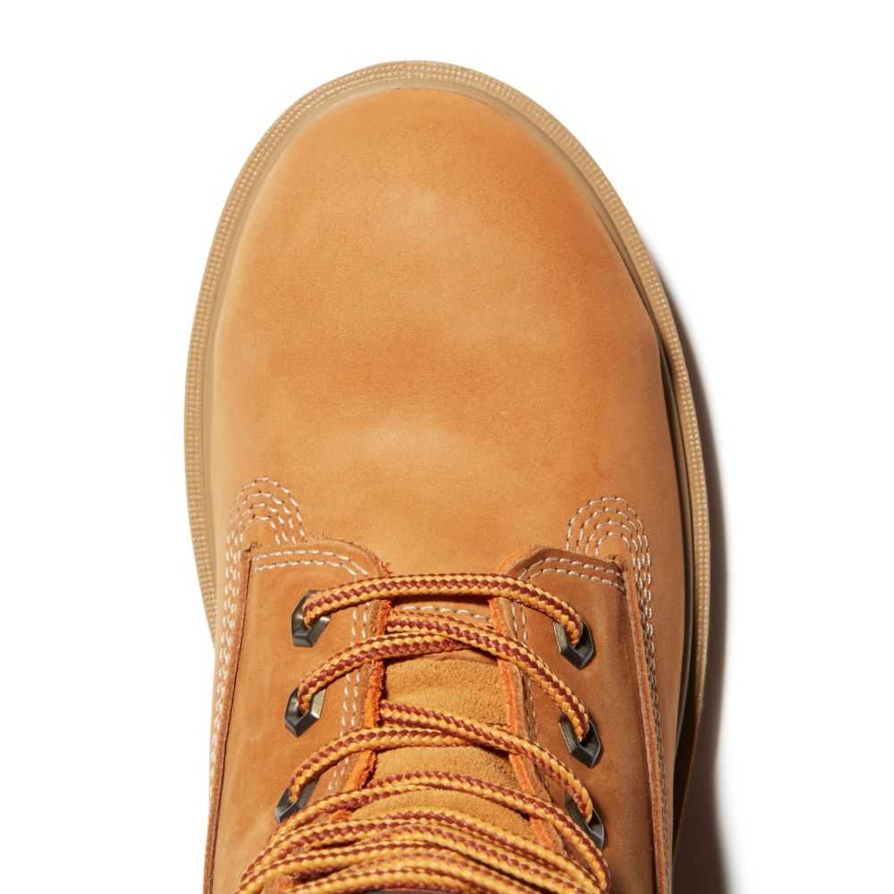 Timberland Timberland Pro X Generation T Marroni | SN-TBL46329