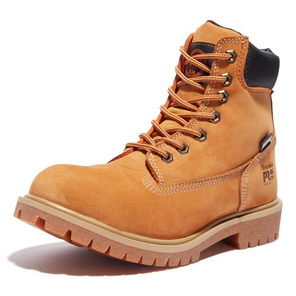 Timberland Timberland Pro X Generation T Marroni | SN-TBL46329