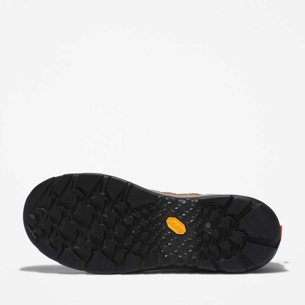 Timberland Trailwind Marroni Rosse | SN-TBL45721