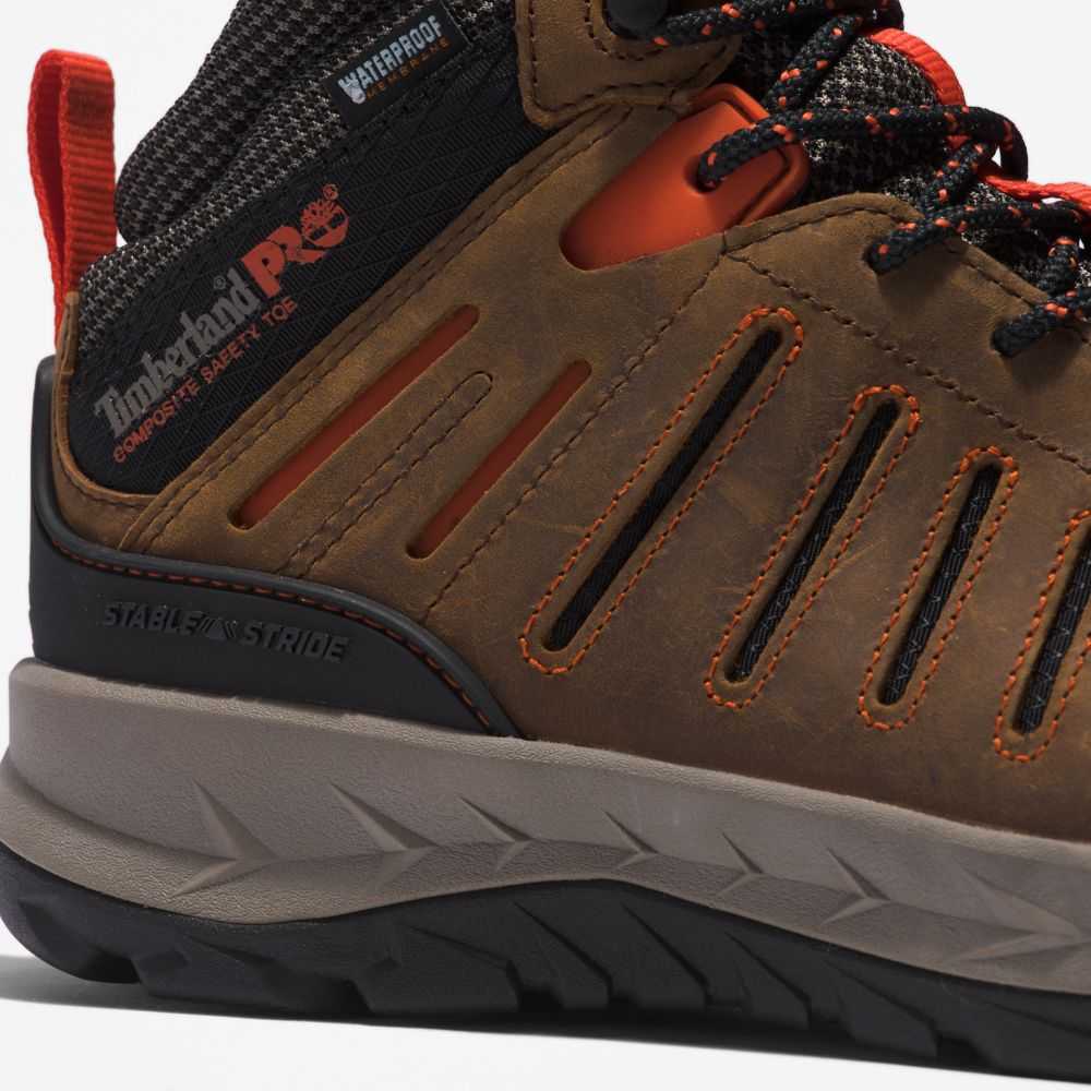 Timberland Trailwind Marroni Rosse | SN-TBL45721