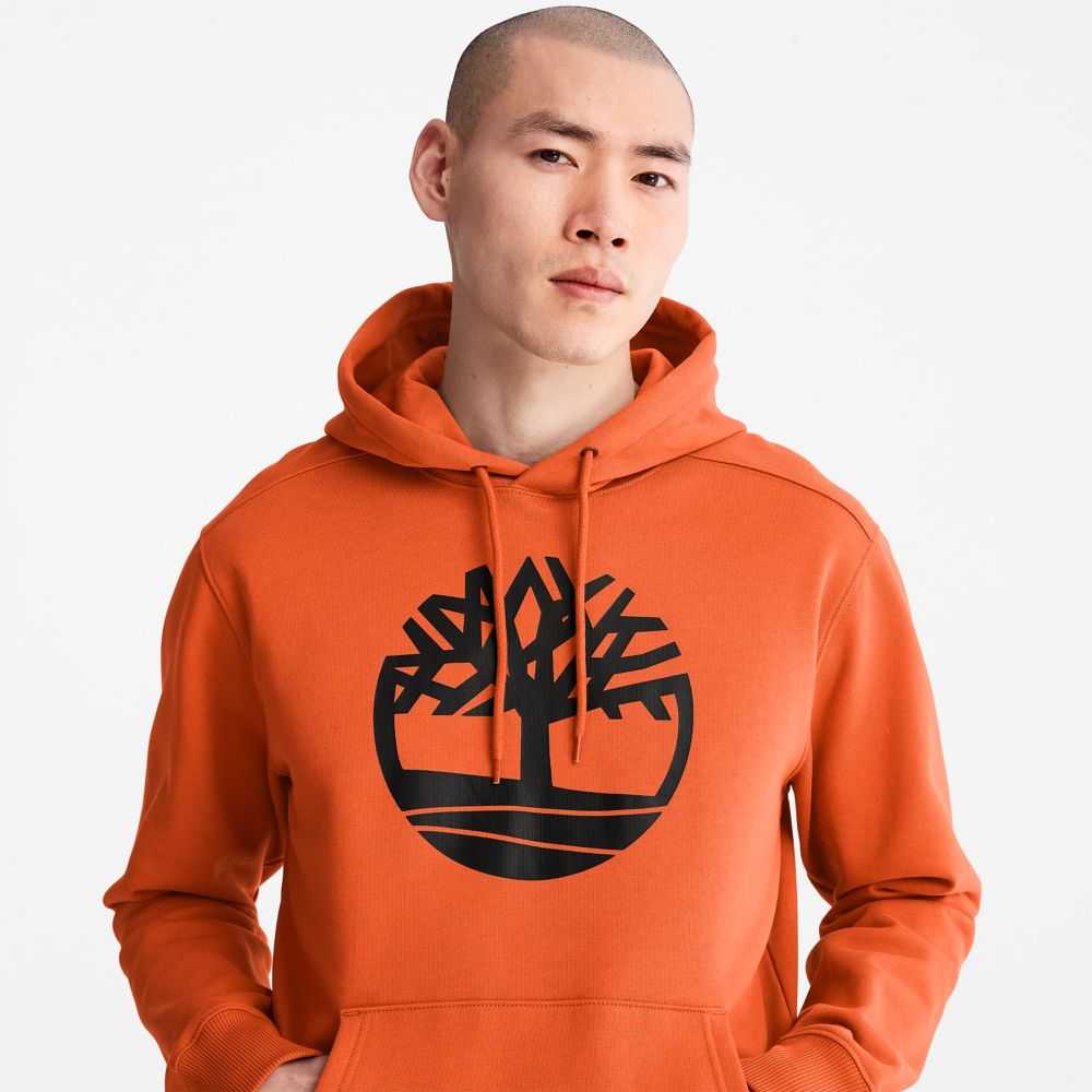 Timberland Tree Logo Arancioni | SN-TBL46535