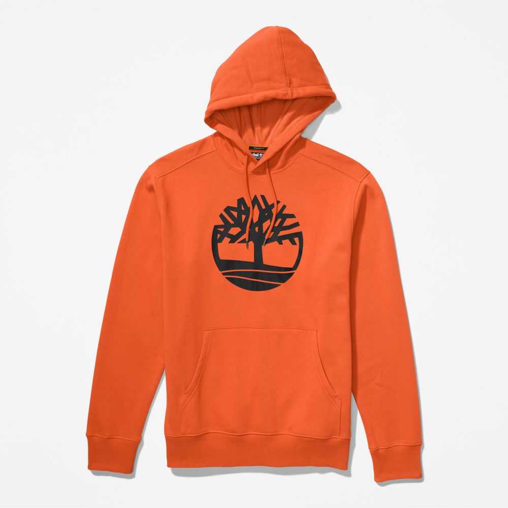 Timberland Tree Logo Arancioni | SN-TBL46535