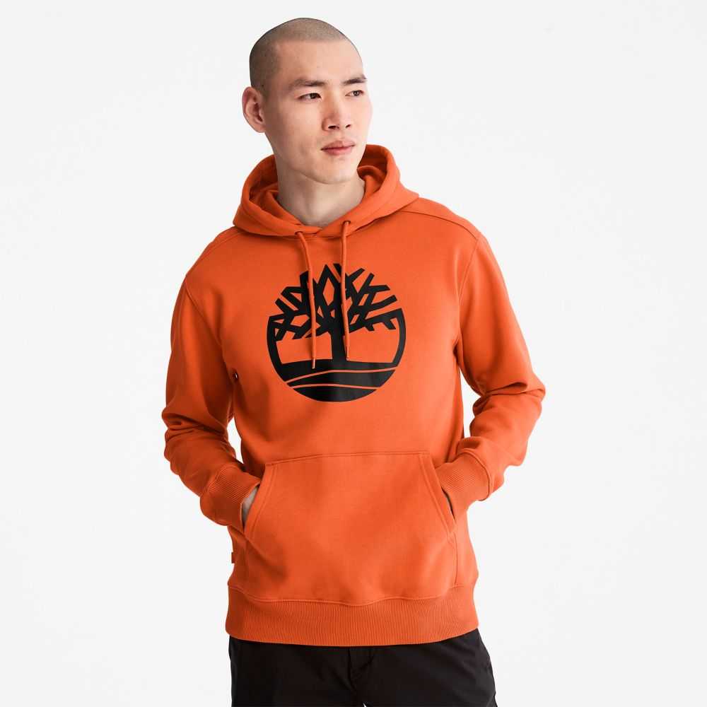 Timberland Tree Logo Arancioni | SN-TBL46535