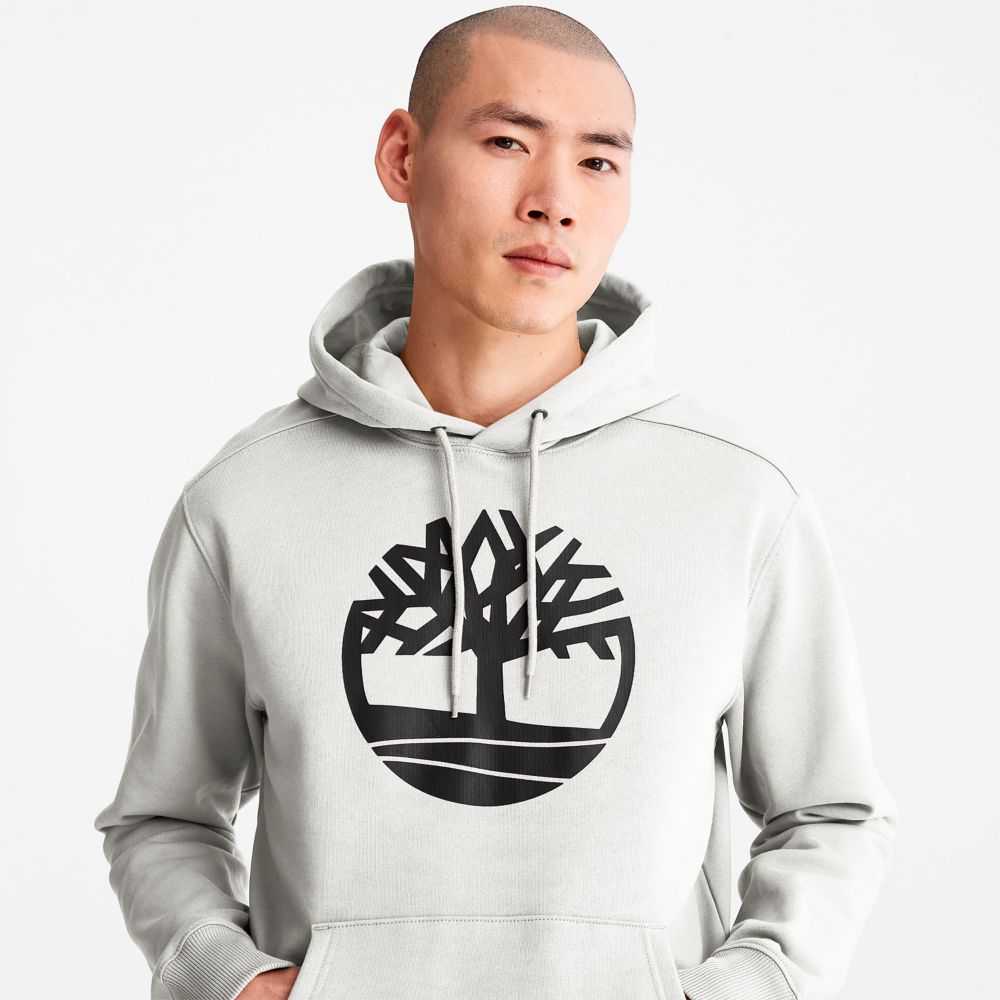 Timberland Tree Logo Bianche | SN-TBL46532