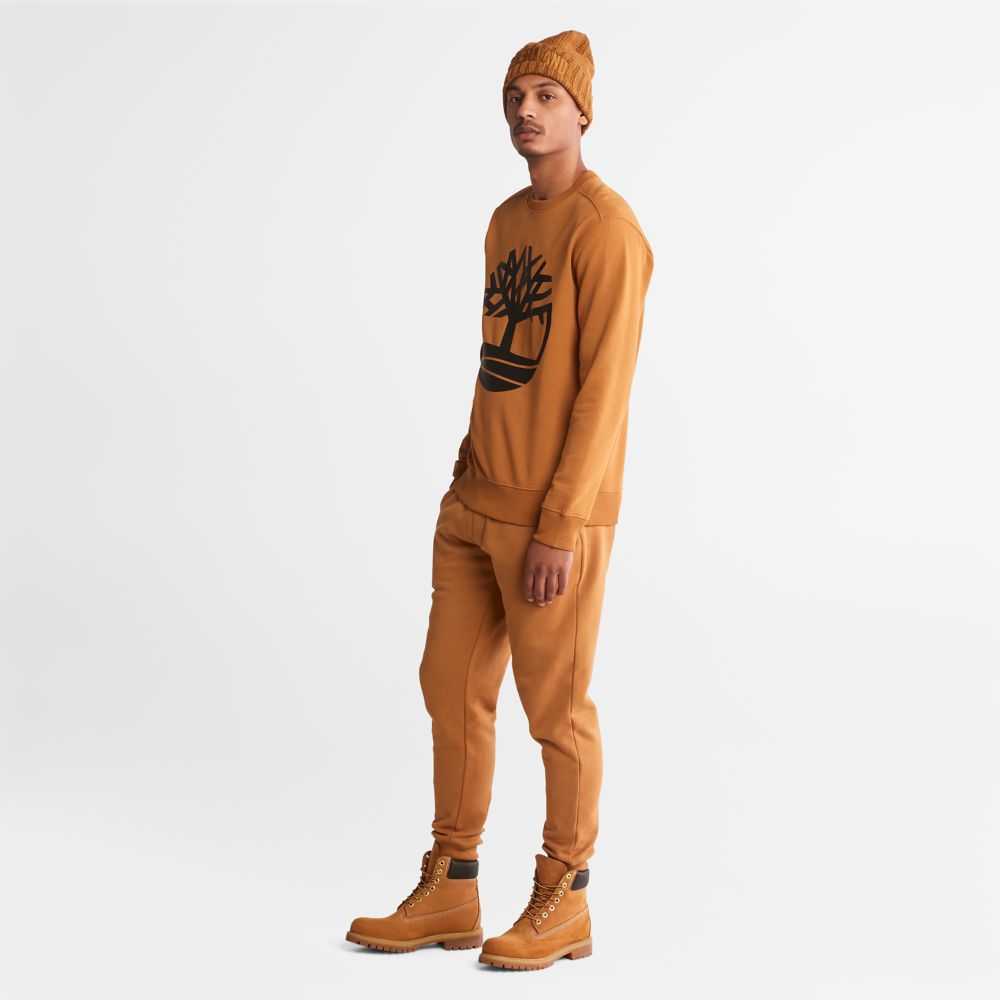 Timberland Tree Logo Marroni Nere | SN-TBL46183