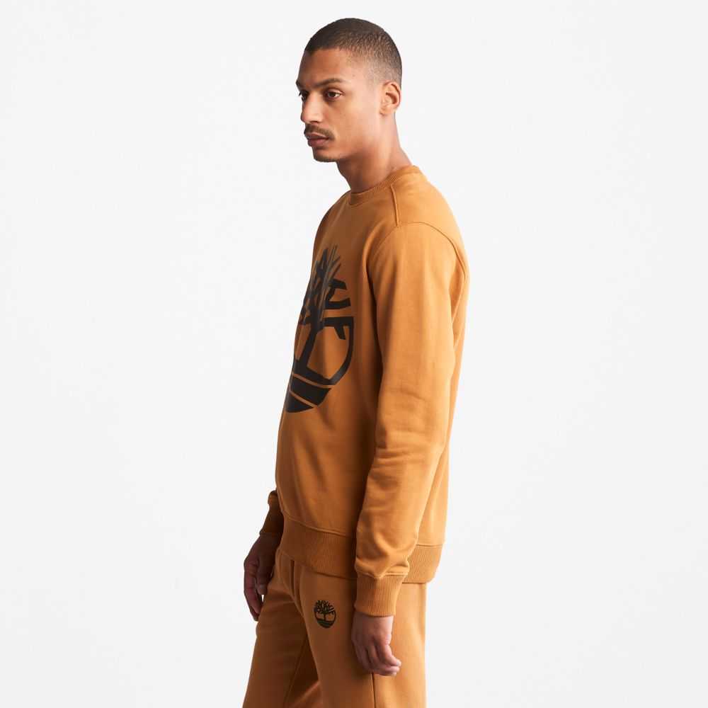 Timberland Tree Logo Marroni Nere | SN-TBL46183