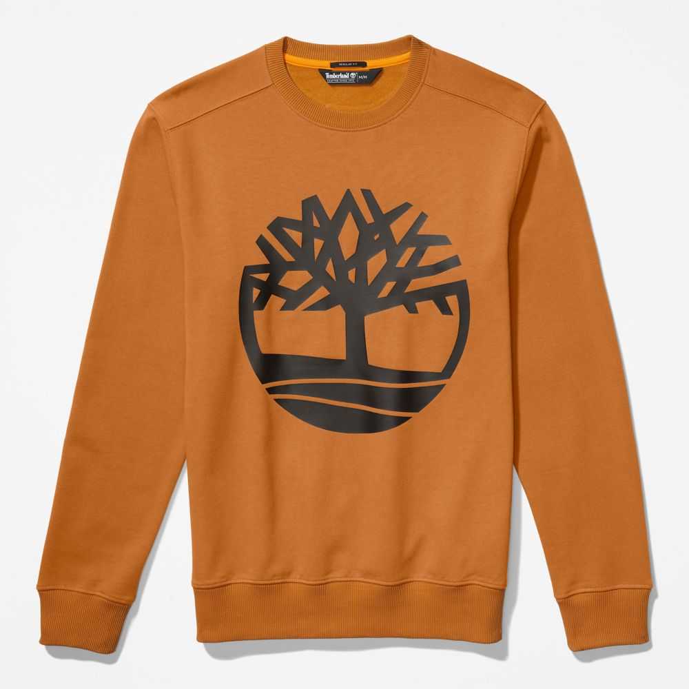 Timberland Tree Logo Marroni Nere | SN-TBL46183