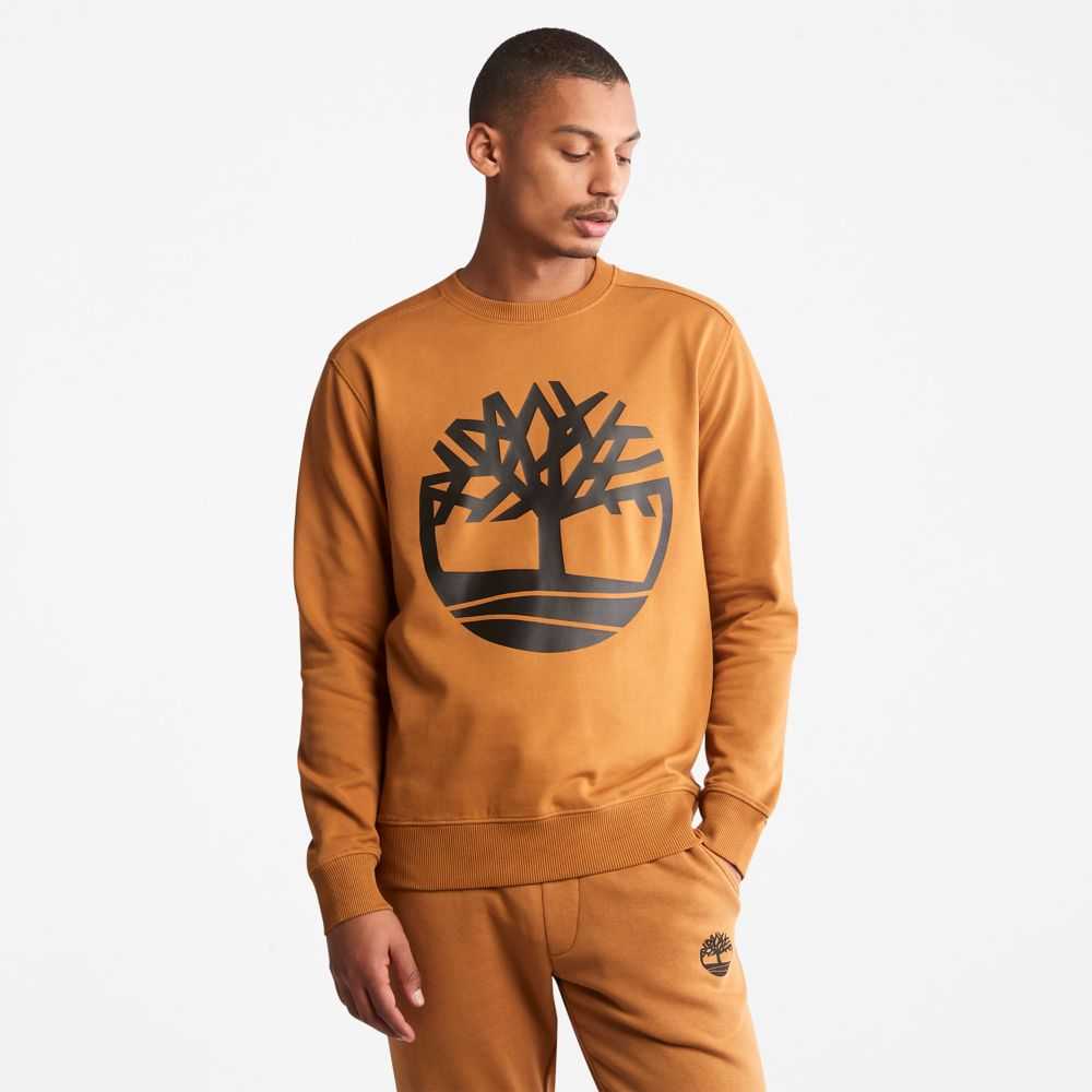Timberland Tree Logo Marroni Nere | SN-TBL46183