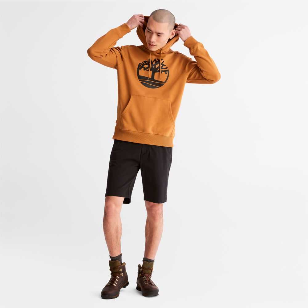 Timberland Tree Logo Marroni Nere | SN-TBL46530